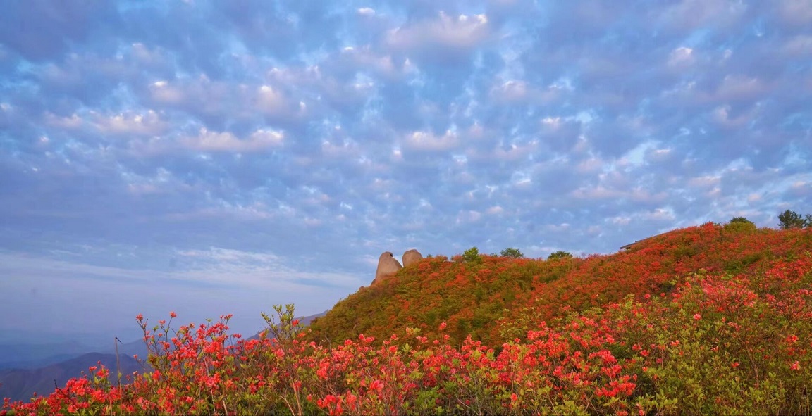 1698045278821777.jpg D96A930FD0FE8BAC193CACBF68D5B671.jpg